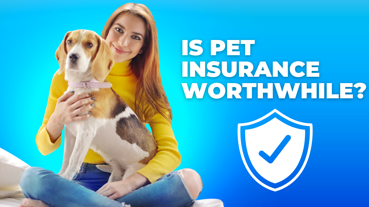 Is Pet Insurance Worthwhile