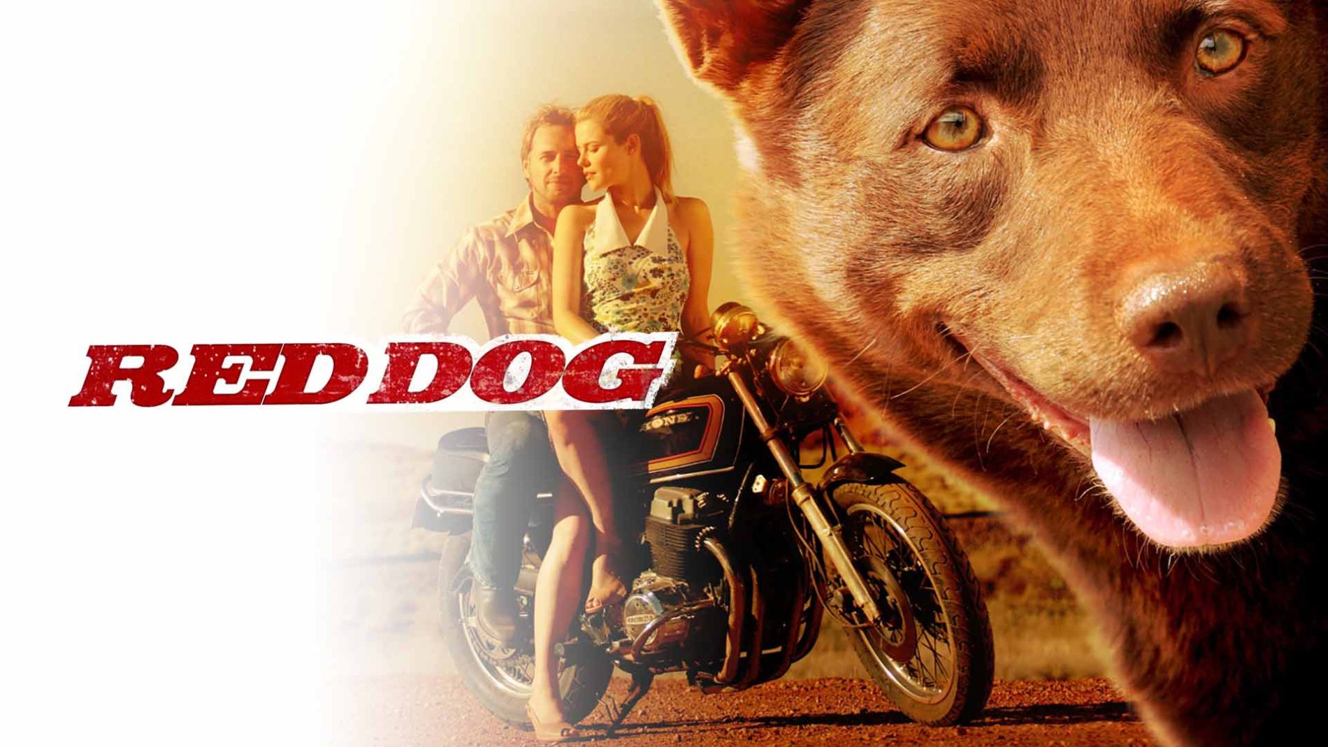 red dog movie